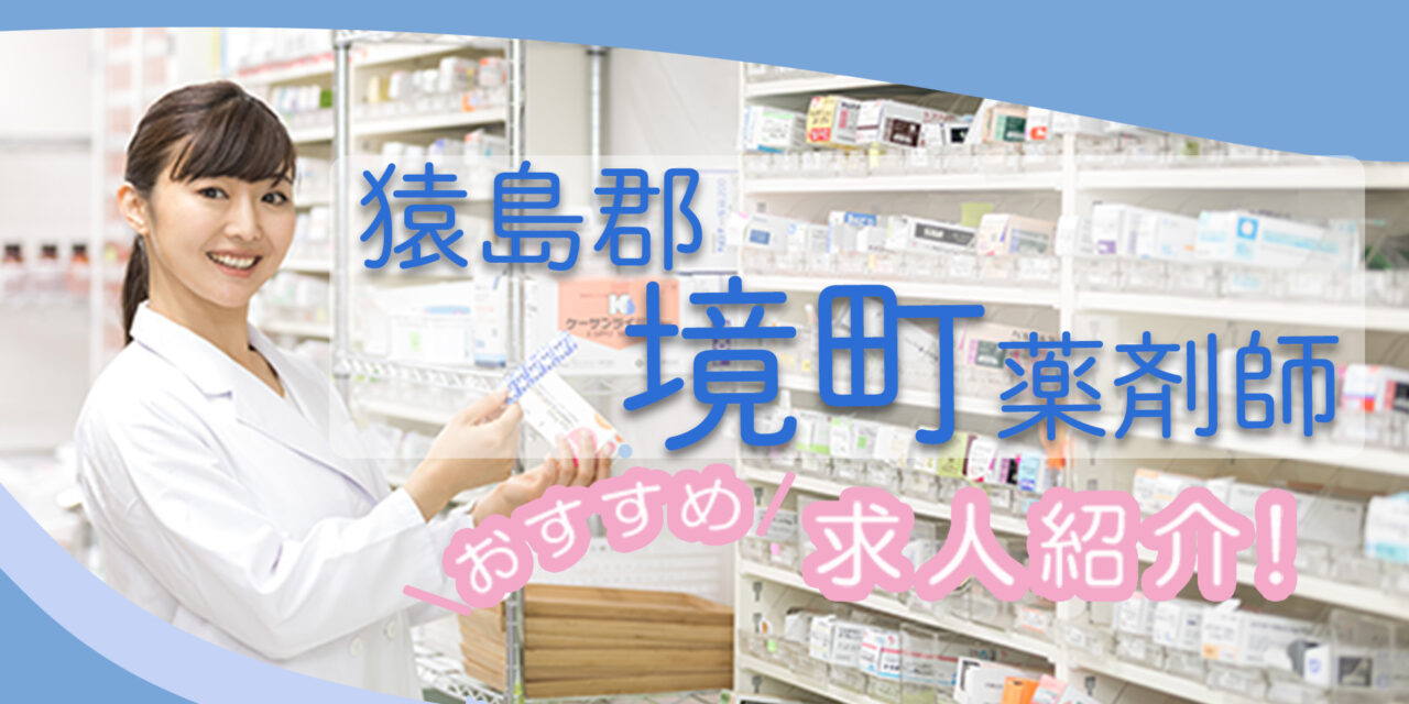 茨城県猿島郡境町の薬剤師年収600万以上