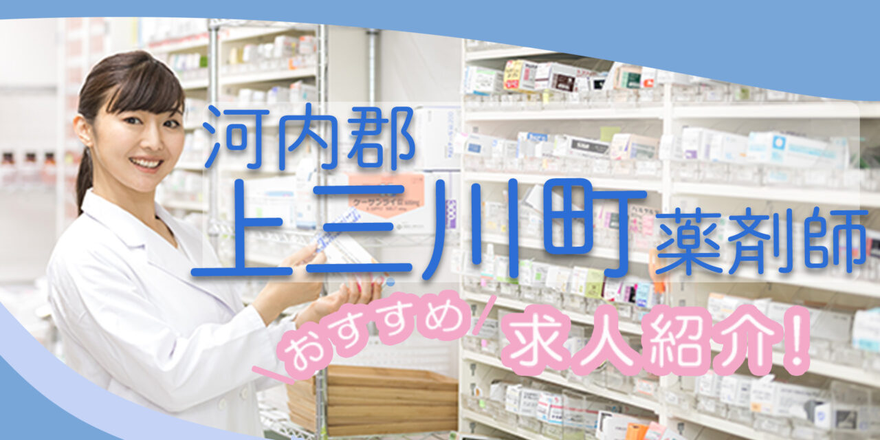 栃木県河内郡上三川町の薬剤師年収600万以上