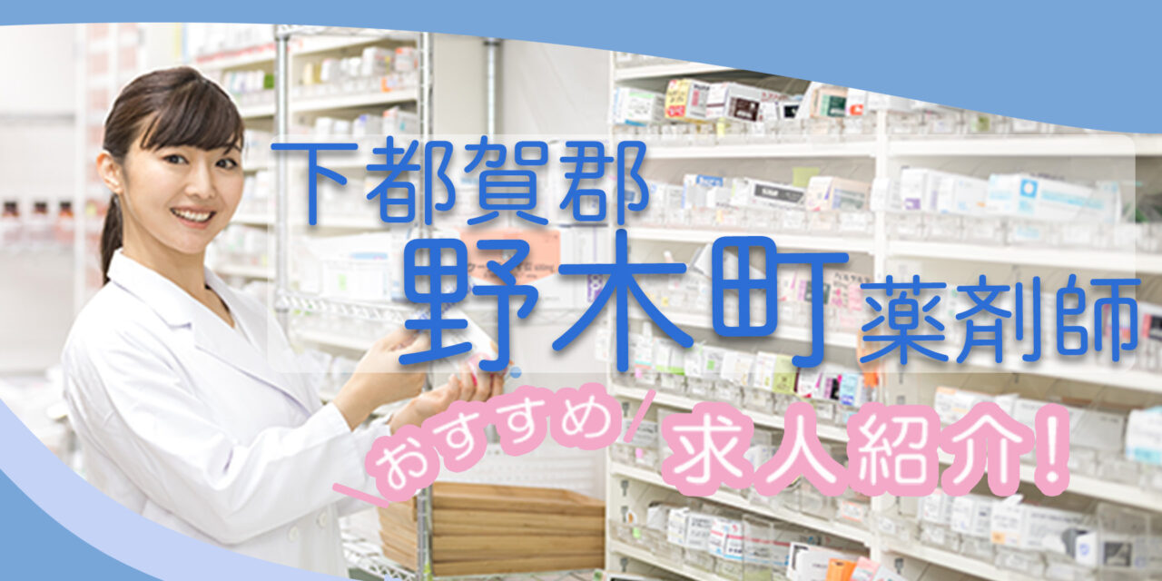 栃木県下都賀郡野木町の薬剤師年収600万以上