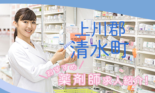 北海道上川郡清水町の薬剤師年収600万以上