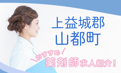 熊本県上益城郡山都町の薬剤師年収600万以上