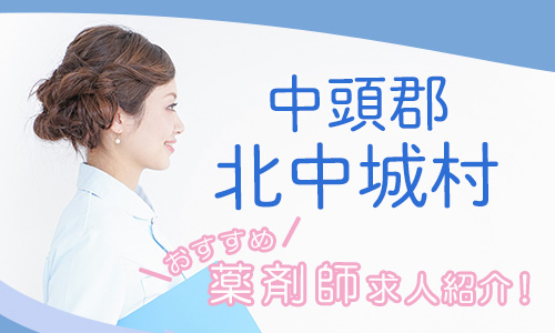 沖縄県中頭郡北中城村の薬剤師年収600万以上