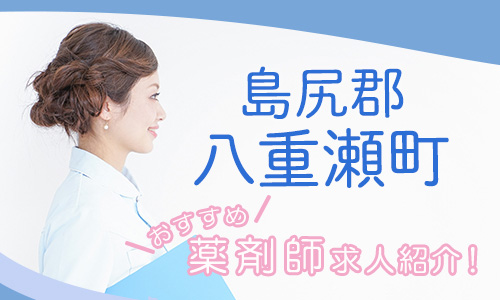 沖縄県島尻郡八重瀬町の薬剤師年収600万以上