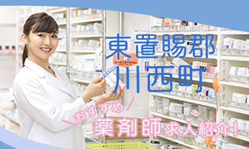 山形県東置賜郡川西町の薬剤師年収600万以上